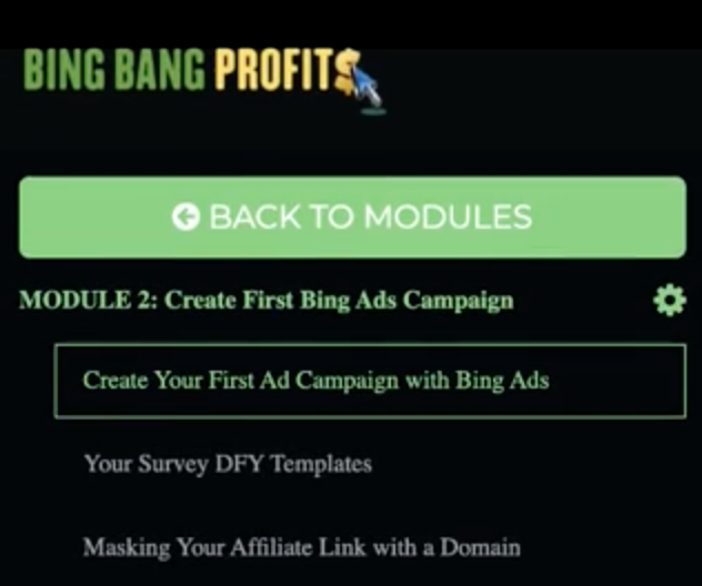 What is Bing Bang Profits 